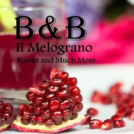 Bed and breakfast Il Melograno Antico Con Terrazza E Giardino 2*