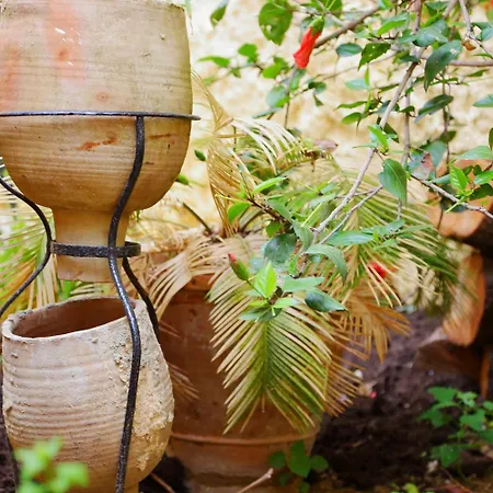 Il Melograno Antico Con Terrazza E Giardino Bed & Breakfast Agrigento