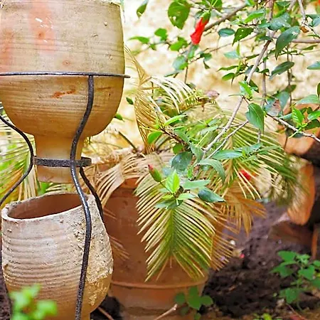 Il Melograno Antico Con Terrazza E Giardino