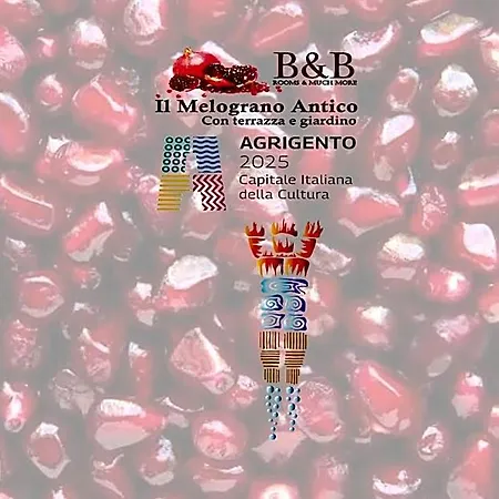 Il Melograno Antico Con Terrazza E Giardino 3* 阿格里真托